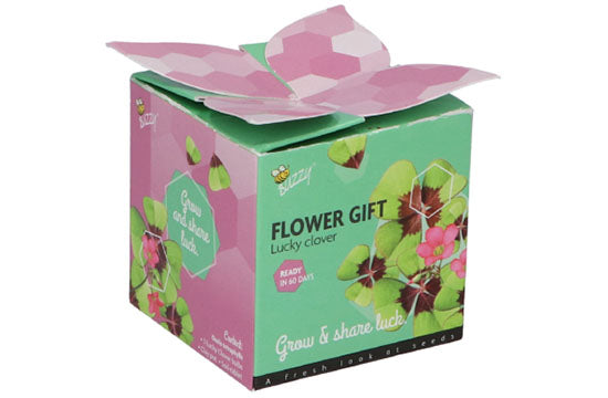 Klavertje 4 in potje