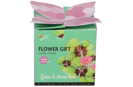 Klavertje 4 in potje