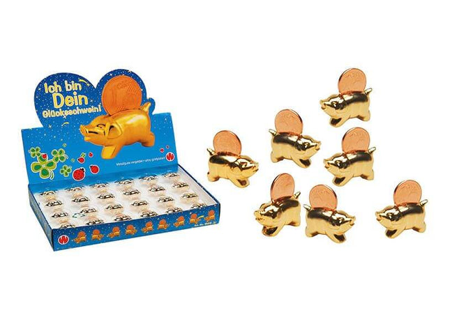 Spaarvarkentje met geluksmunt