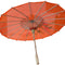 Chinese parasols
