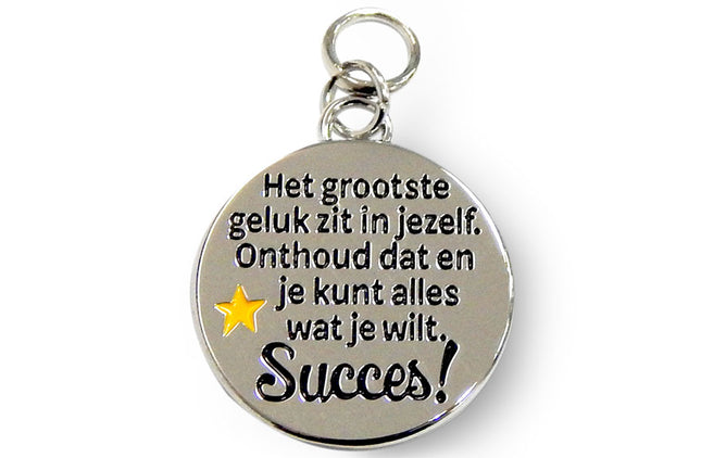 Charm for you - Succes