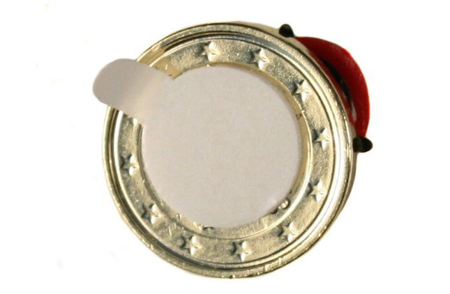 Geluksmuntje met gelukssymbool