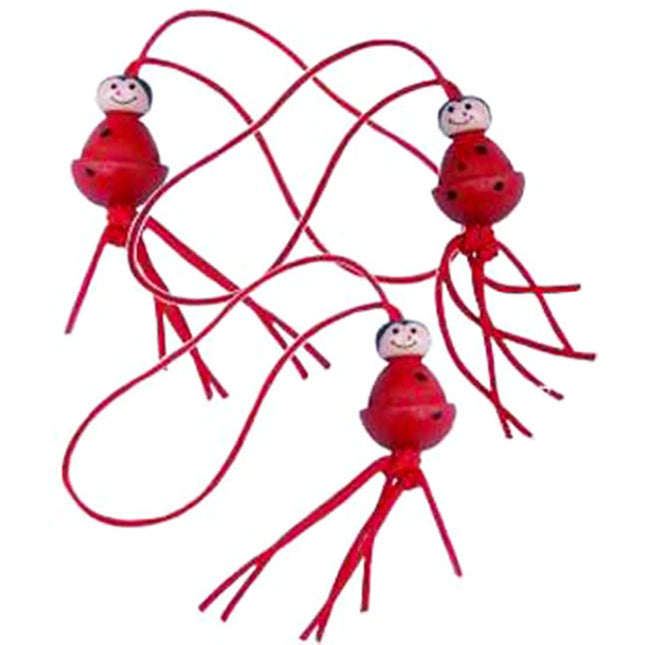 Gelukspoppetjes lieveheersbeestje