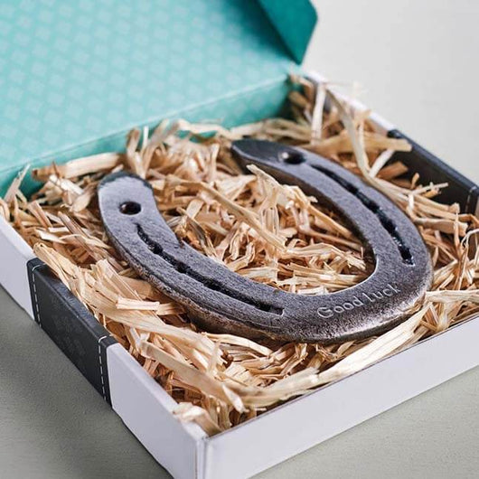 Hoefijzer geluk banner desktop - Lucky Touch