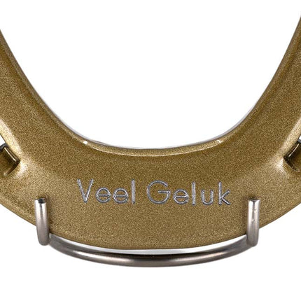 Hoefijzer geluk - goud