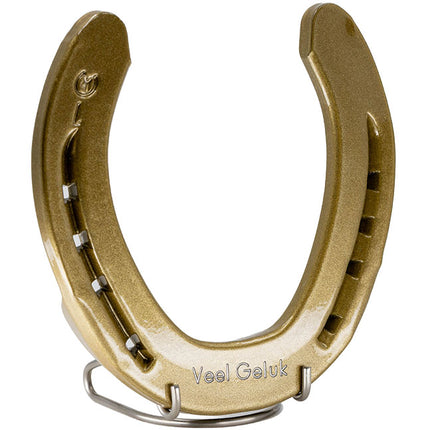 Hoefijzer geluk - goud