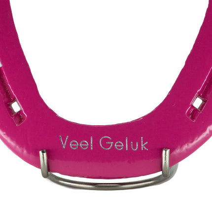 Hoefijzer geluk - pinky roze
