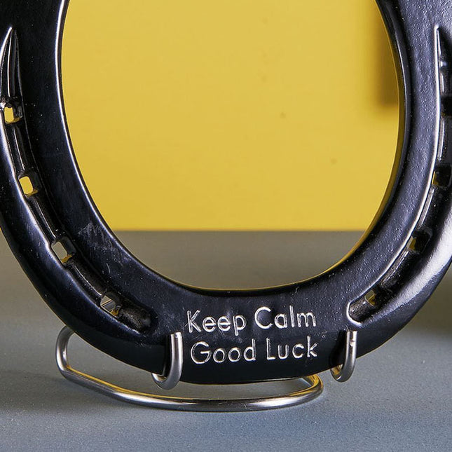 Hoefijzer geluk - zwart