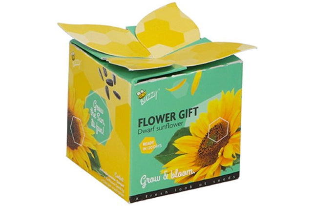 Ik zet je in het zonnetje cadeautje - Lucky Touch - Bedankjes & Cadeautjes