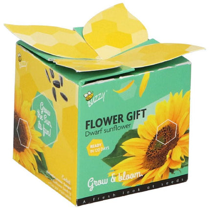 Ik zet je in het zonnetje cadeautje - Lucky Touch - Bedankjes & Cadeautjes