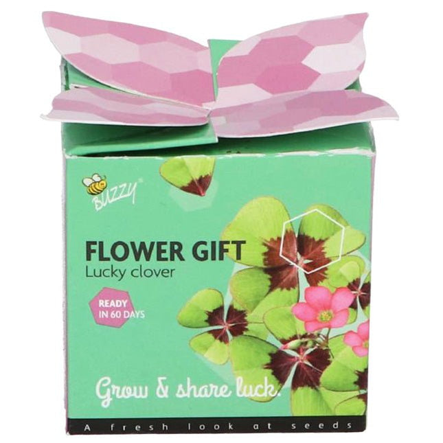 Klavertje 4 in potje - Lucky Touch - Bedankjes & Cadeautjes