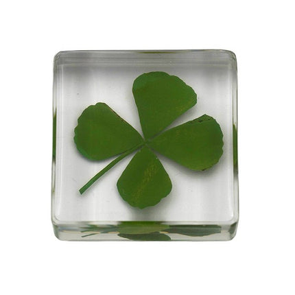 Klavertje vier in steen - Lucky Touch - Bedankjes & Cadeautjes