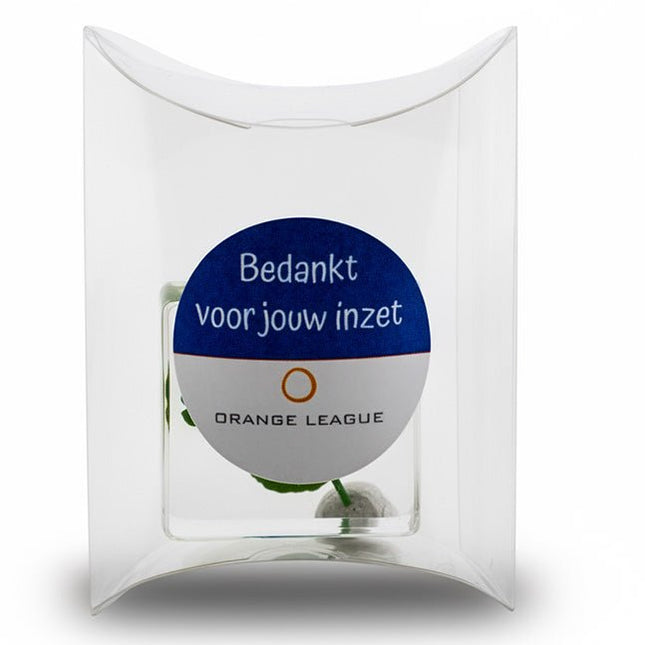 Persoonlijk bedankje Bedankt voor jouw inzet - Luckytouch.nl