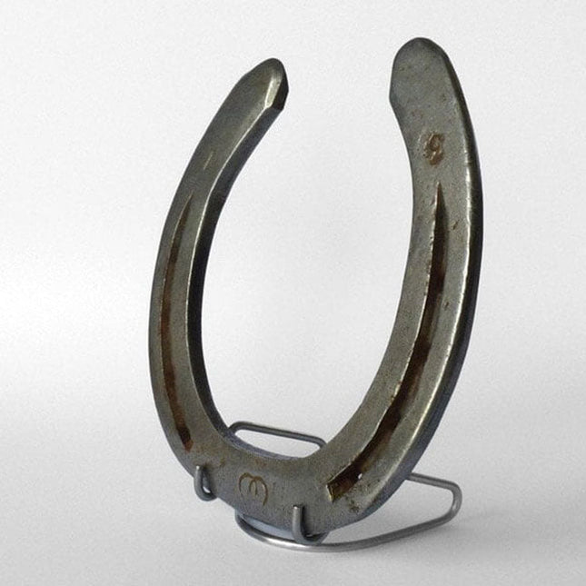 RVS Hoefijzer Standaard - Lucky Touch - Bedankjes & Cadeautjes