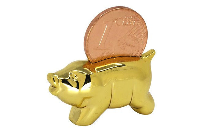 Spaarvarkentje met geluksmunt - Lucky Touch - Bedankjes & Cadeautjes