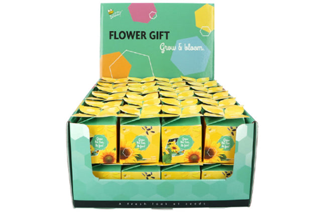 Ik zet je in het zonnetje cadeautje